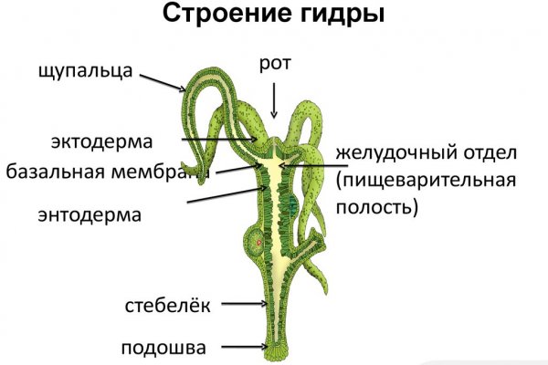 Kraken ссылка официальная